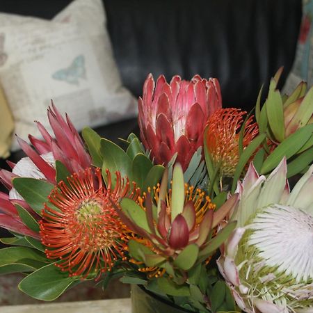 Tortelduif Cottage Stellenbosch Buitenkant foto